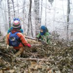 Kinder sitzen an einem nebeligen und reifigen Tag im Wald auf einem Baumstamm