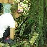 Vor einem großen Baum hockt ein Mädchen und betrachtet davorliegende Holzstücke