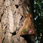 Ein Duftsäckchen gefüllt mit Moos und Zapfen hängt an einem Baumstamm